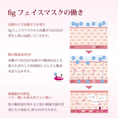 Biest 無花果面膜 一盒4個 Fig Mask 4pcs/Box